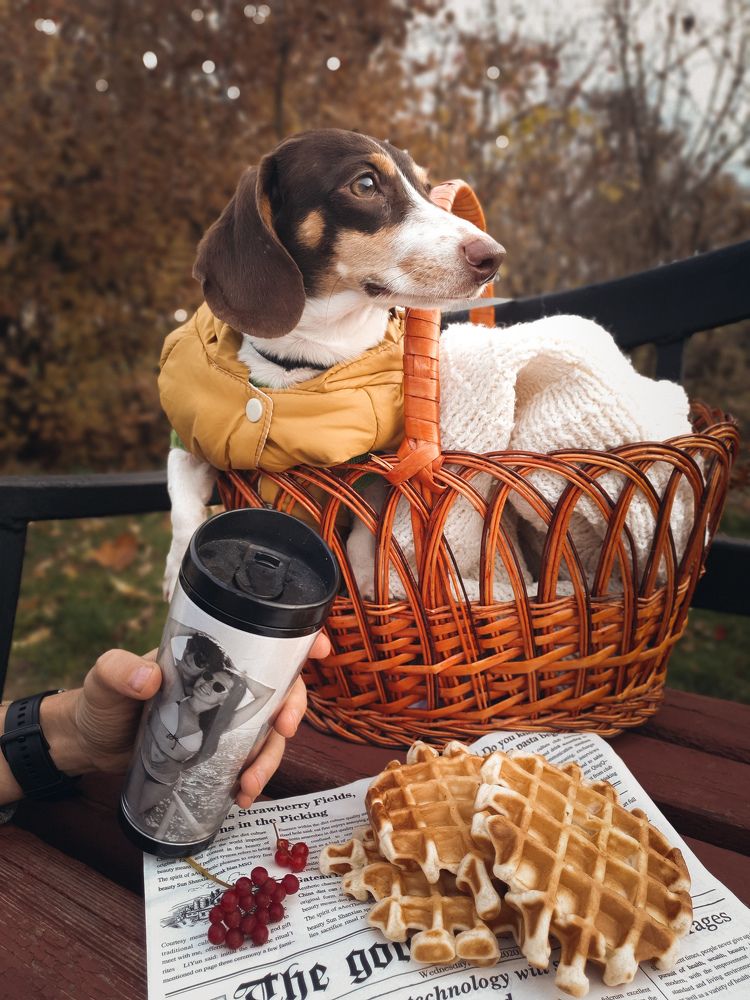Фотография автора Ольга Шишук