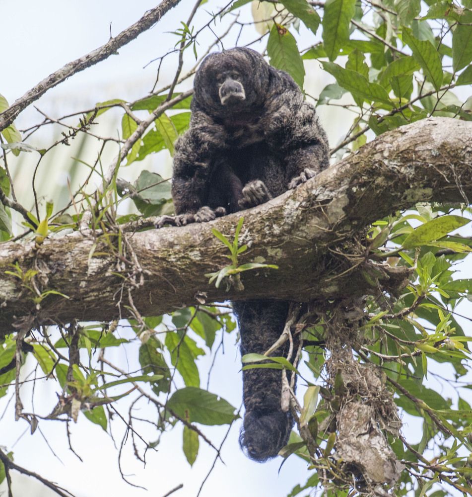 Фотография автора Oskars Smelins