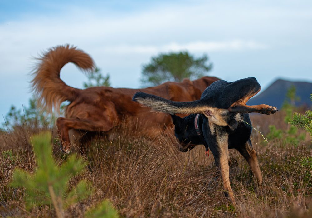 Photograph by Eva Frisnes