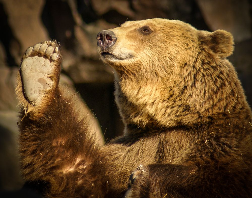 Photograph by Дария Максимова