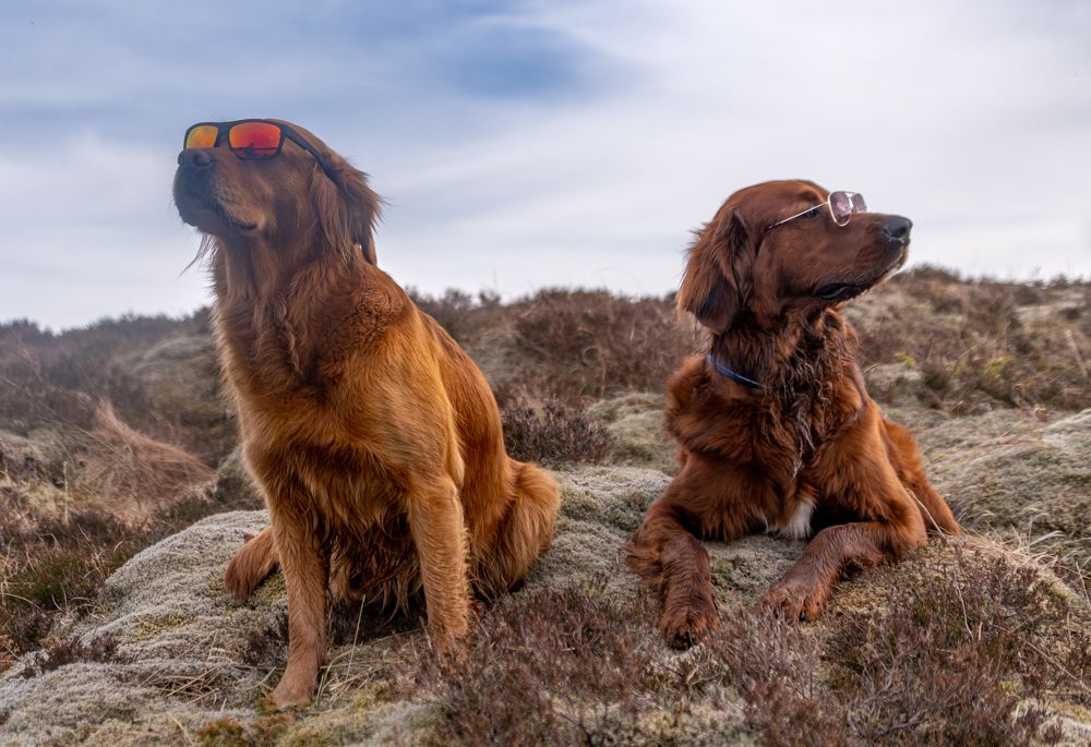 Photograph by Eva Frisnes