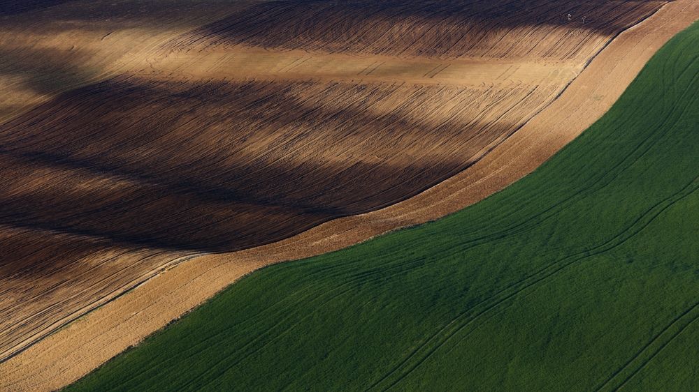 Photograph by Lukas Sobin