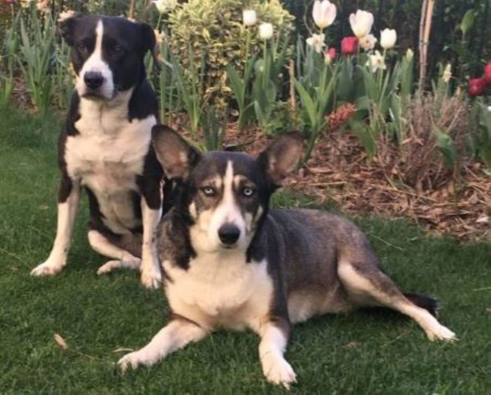 Фотография автора Slavica Gligorievska