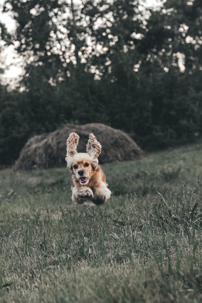 Photograph by Лариса Сухих