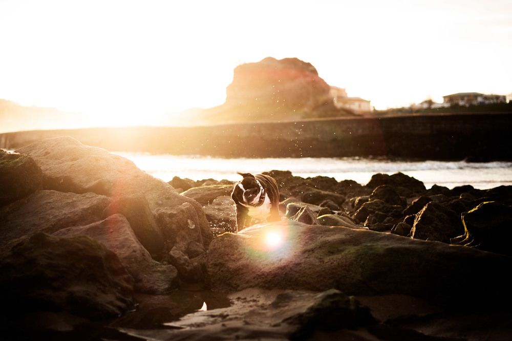 Photograph by lucia saiz