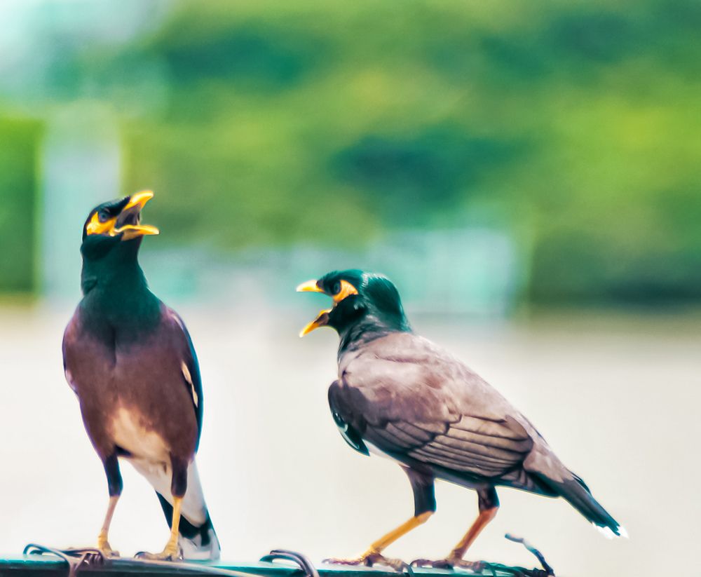 Sweet tweets and even sweeter moments.