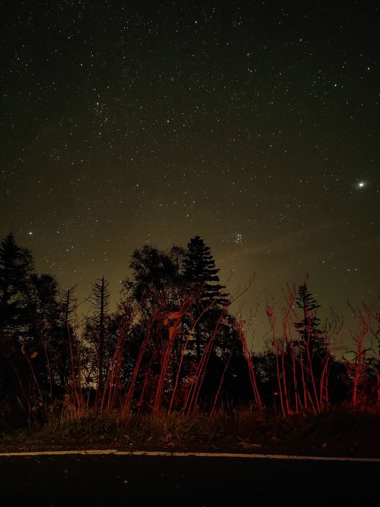 Photograph by Александр Девочкин