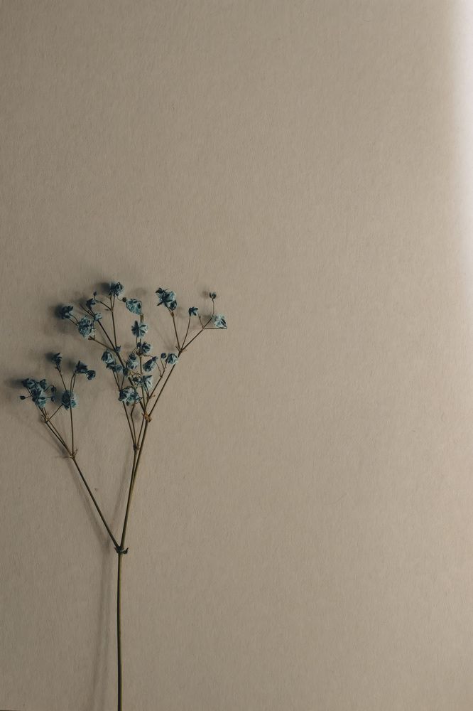 Photograph by Наталья Канарейкина