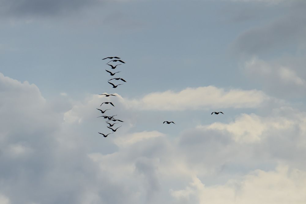 Photograph by Наталья Канарейкина