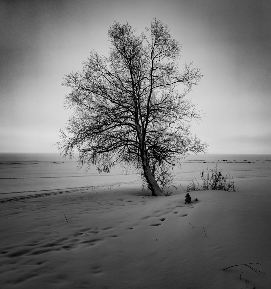 Фотография автора Александр Андреянов