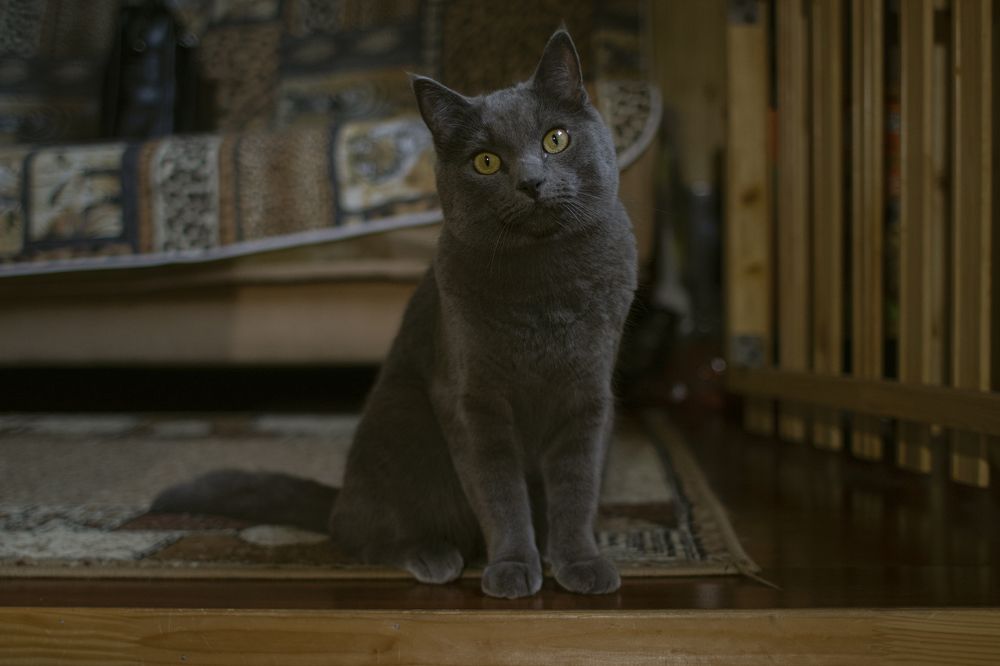 Photograph by Анна Штейнмиллер