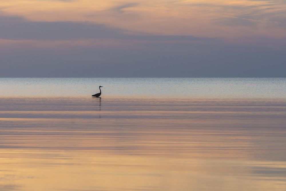 Photograph by Zahra Nouri