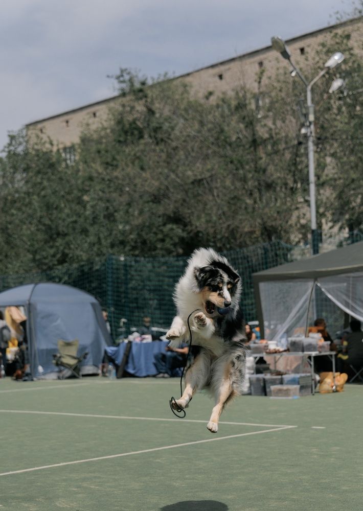 Фотография автора Марат Мурсалимов
