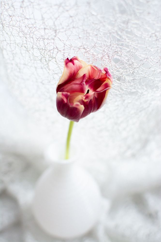 Photograph by Светлана Атаманова