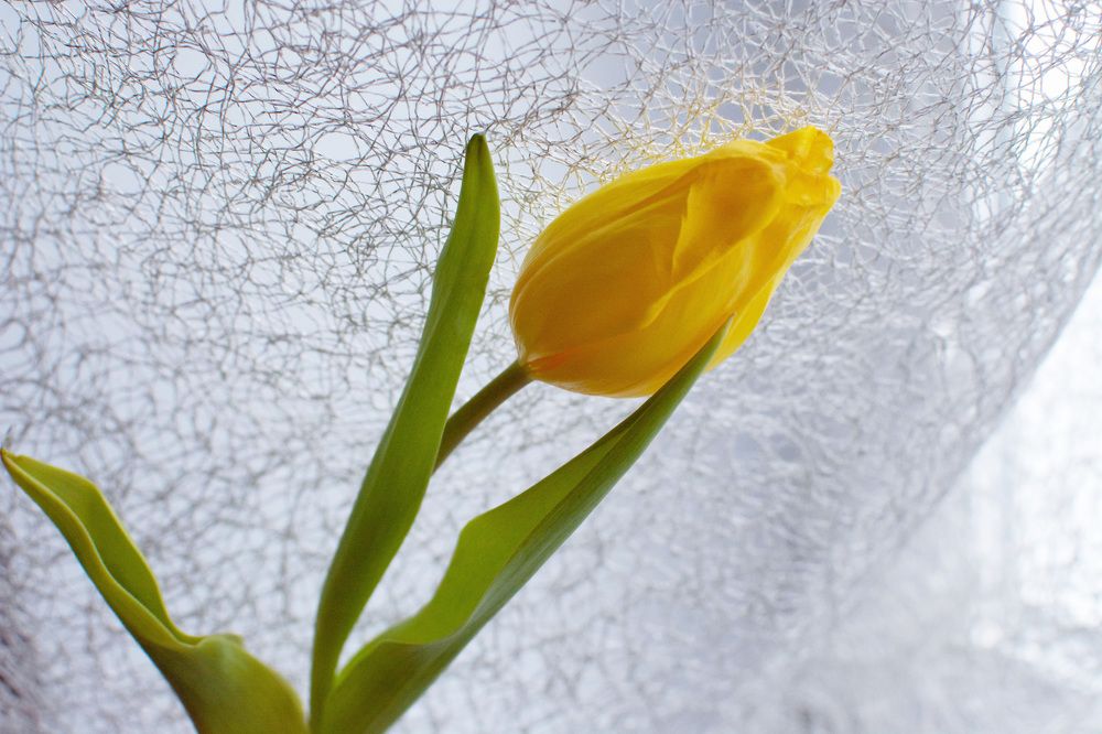 Photograph by Светлана Атаманова
