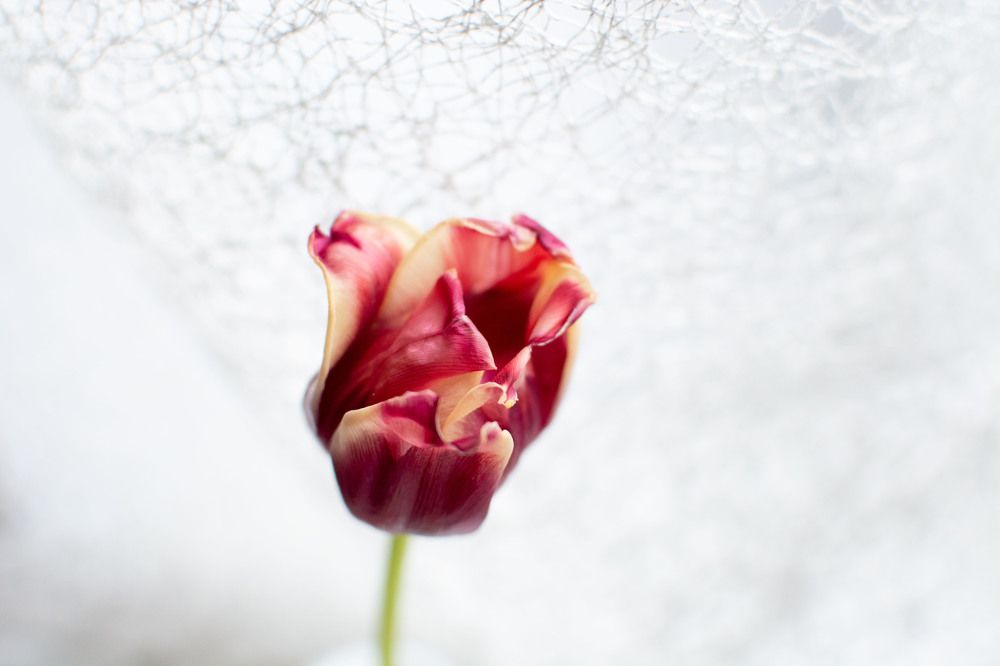Photograph by Светлана Атаманова