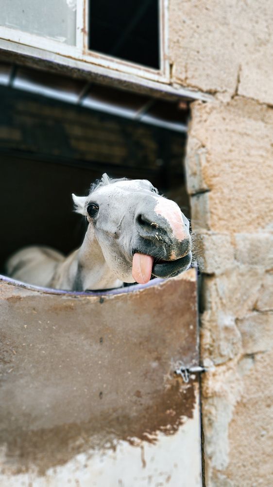 Photograph by Erfan Jahanbazi