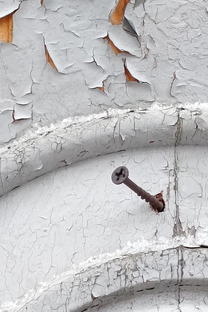 Фотография автора Larisa Meshkova