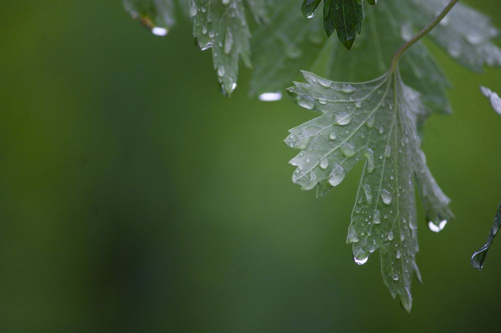 Photograph by Ольга Самылкина