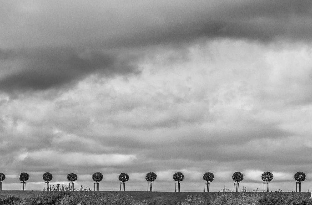 Photograph by Sergey Paramonov