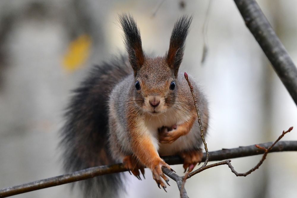 Photograph by Корнейчук Игорь