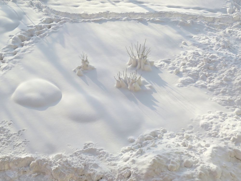 Клумба под снегом