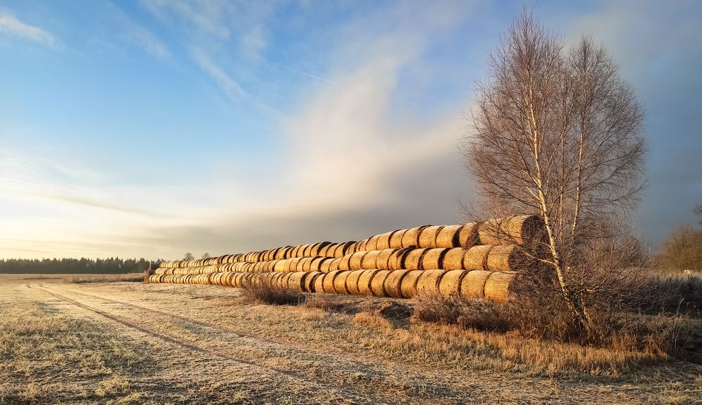 Photograph by Татьяна Романова