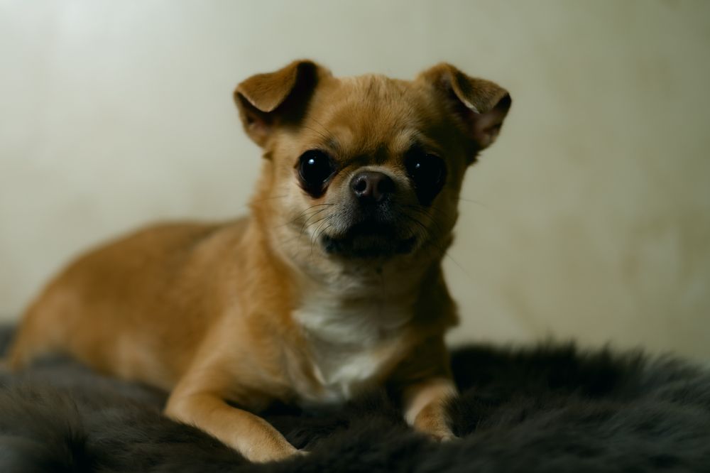 Photograph by Игорь Федянин