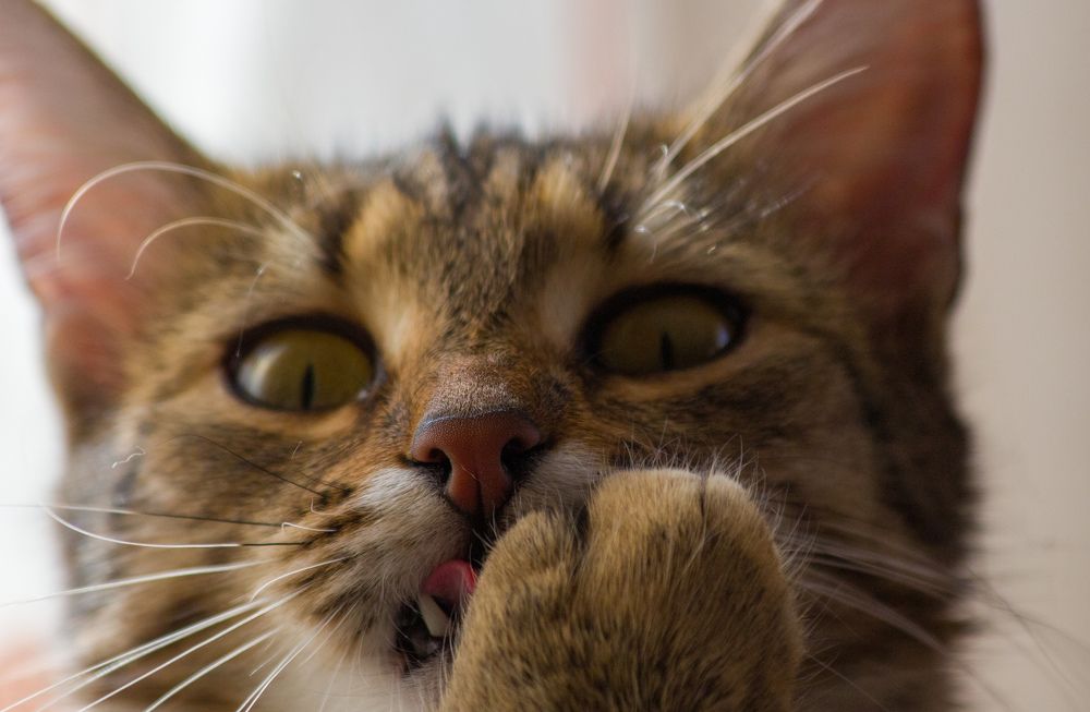 Photograph by Вася Кадочников