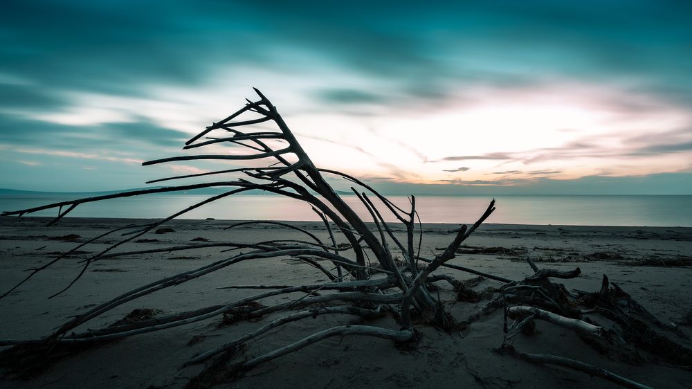 Photograph by Антон Сидоров