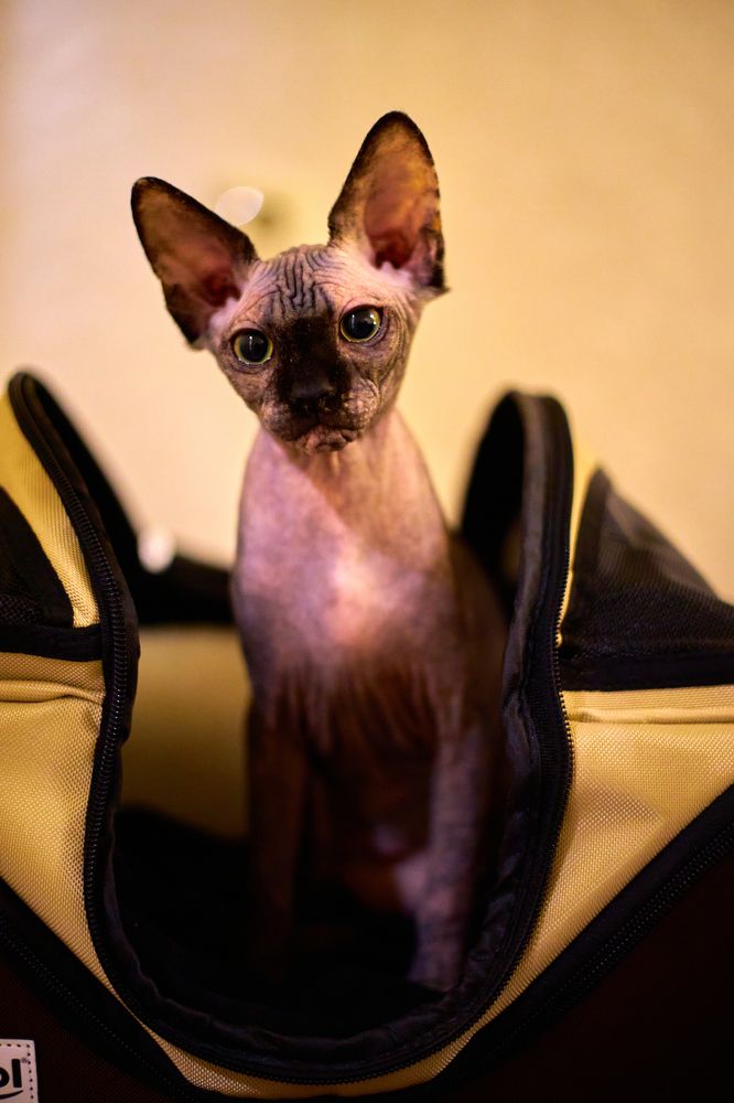 Photograph by Игорь Федянин