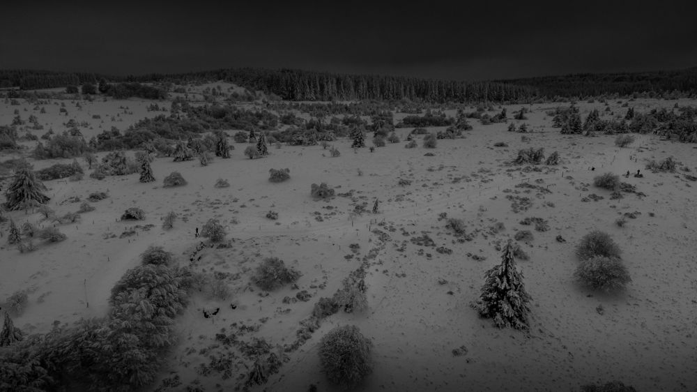 Photograph by Роман Ром