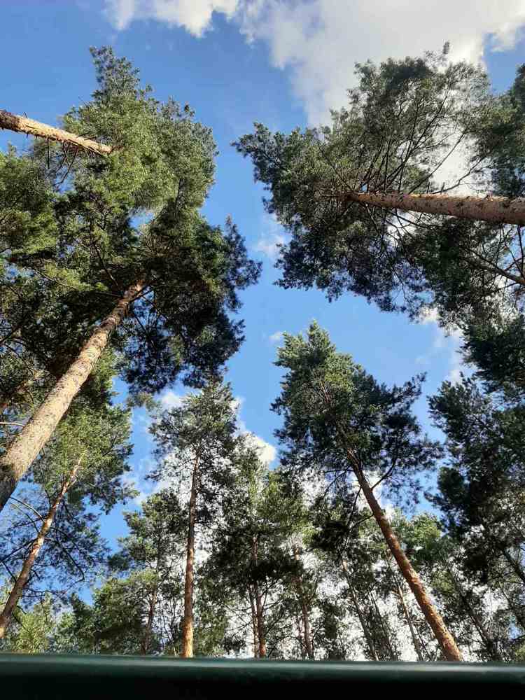 Photograph by Вера