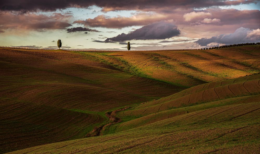 Sunset light on Val d'Orcia