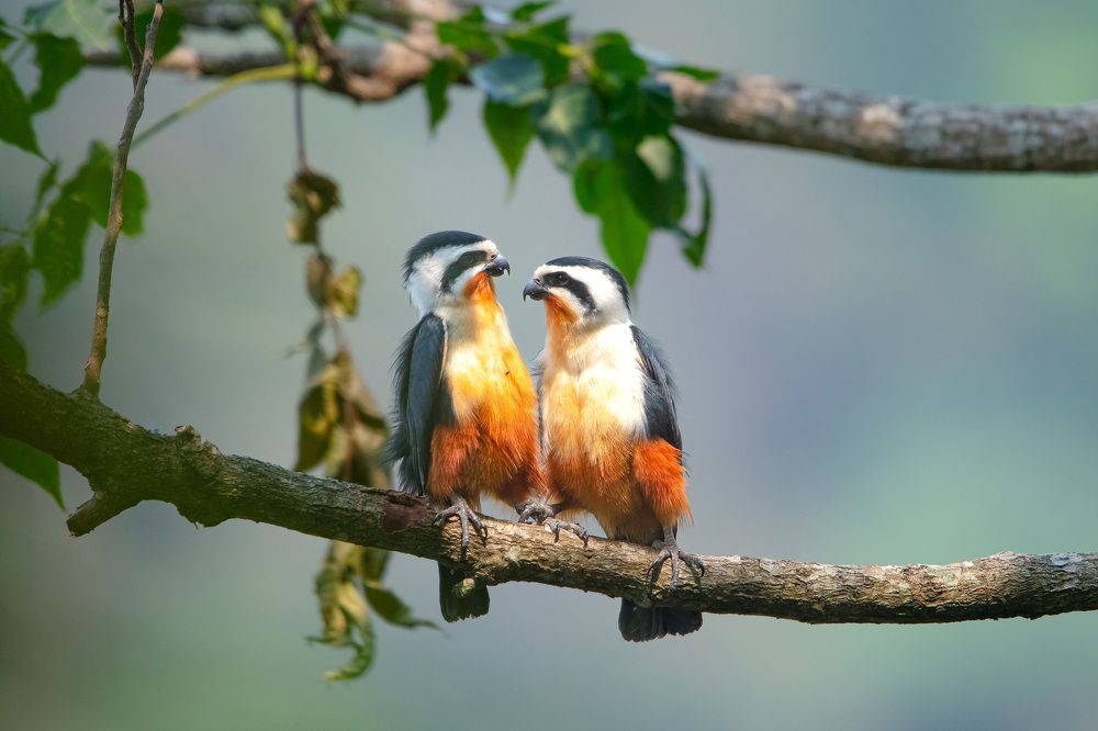 Photograph by Sachitananda Jena