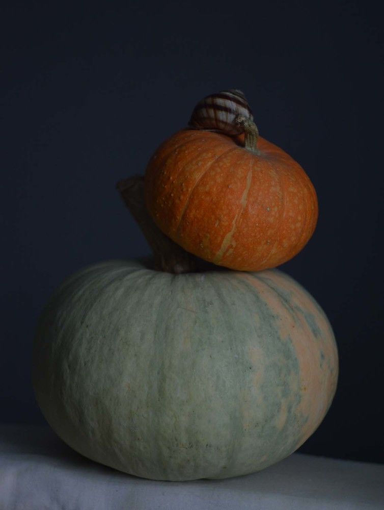 Photograph by Ксения