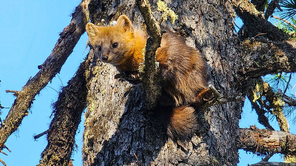 Photograph by Александр