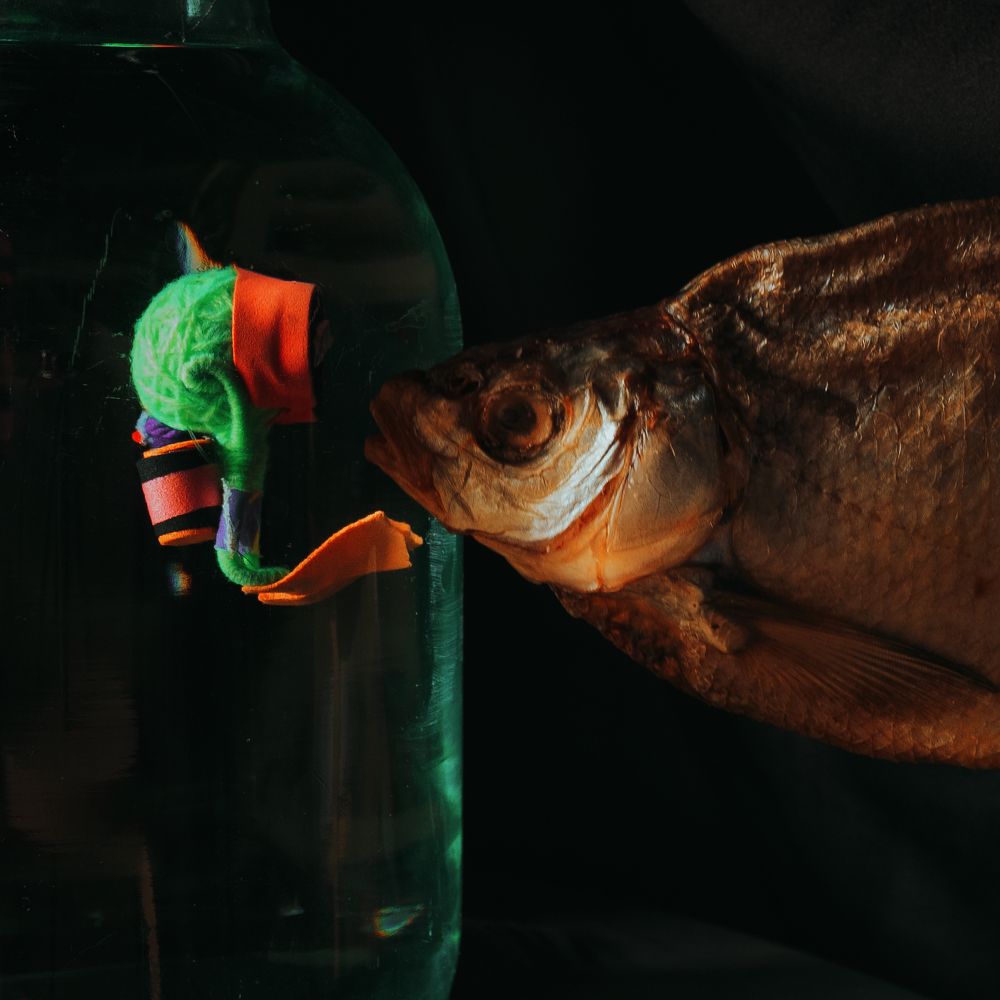 Фотография автора Устинов Владимир