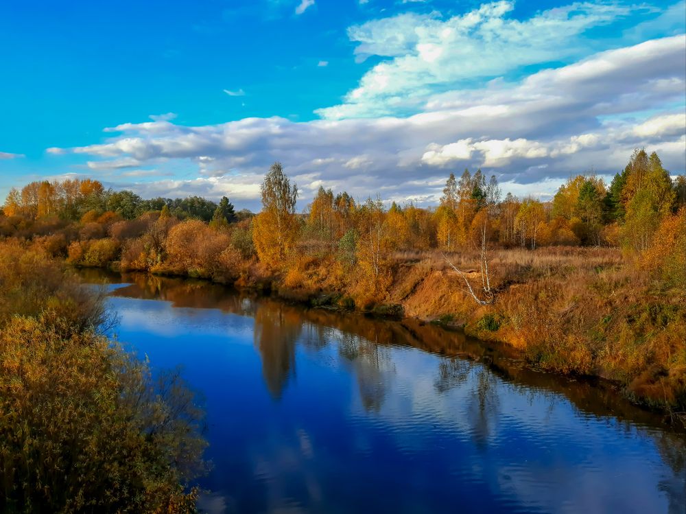 Золотой лес