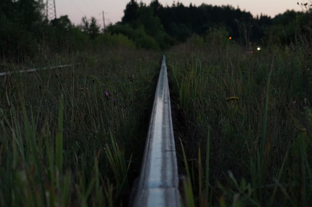 Photograph by Алфия Бугакова