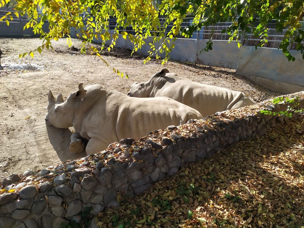 Photograph by Анна