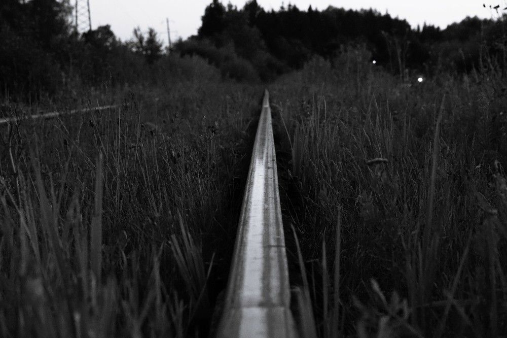 Photograph by Алфия Бугакова