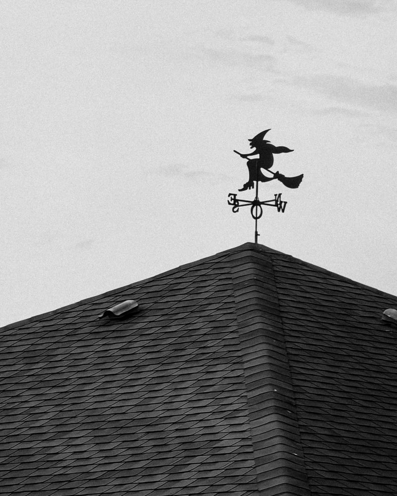 Photograph by Татьяна Желобкова