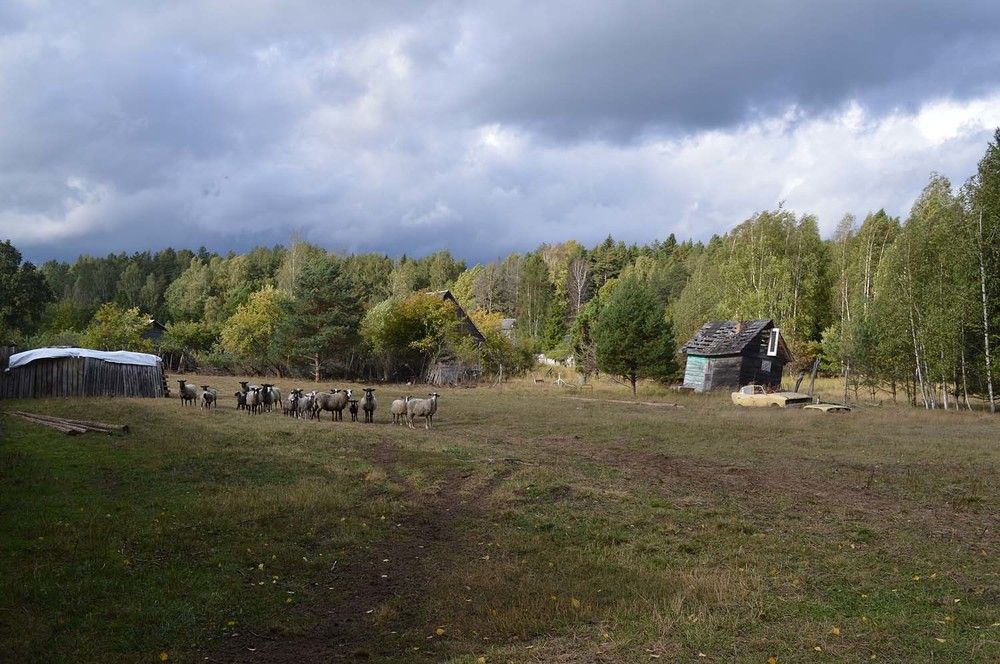 Photograph by Ксения