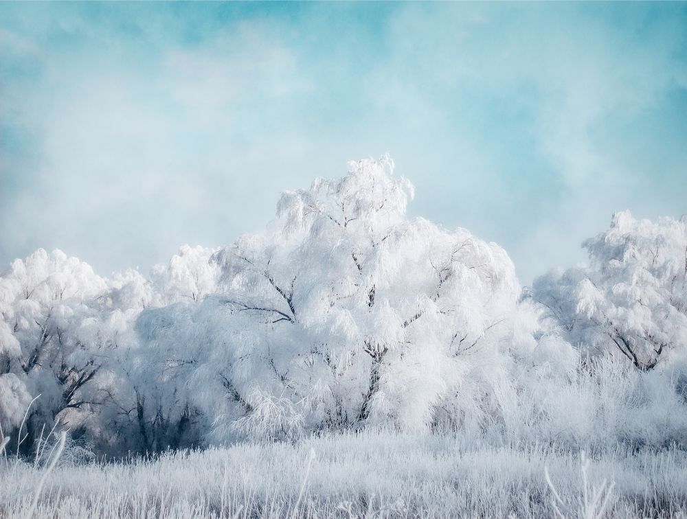 Фотография автора Artemi Artemov