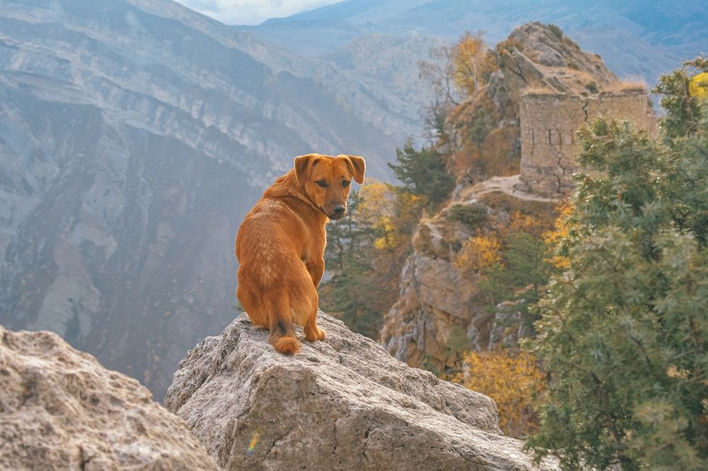 Photograph by Юлия Тарасенко