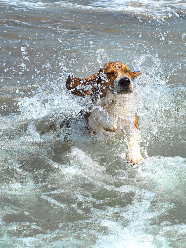 Фотография автора Елена Бурцева