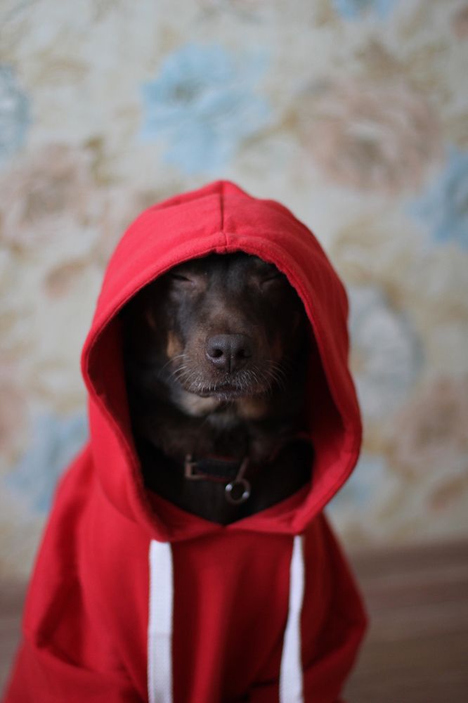 Photograph by Татьяна Лихачева