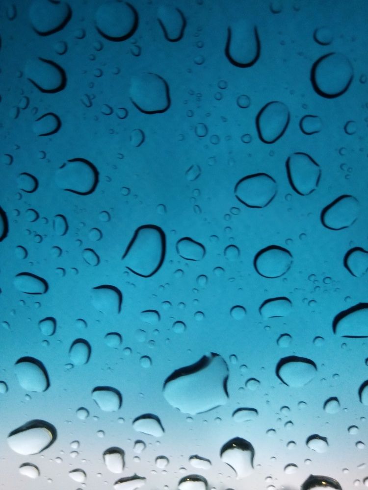 Photo #9801473