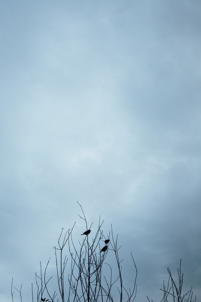 Photograph by Анастасия Макеева